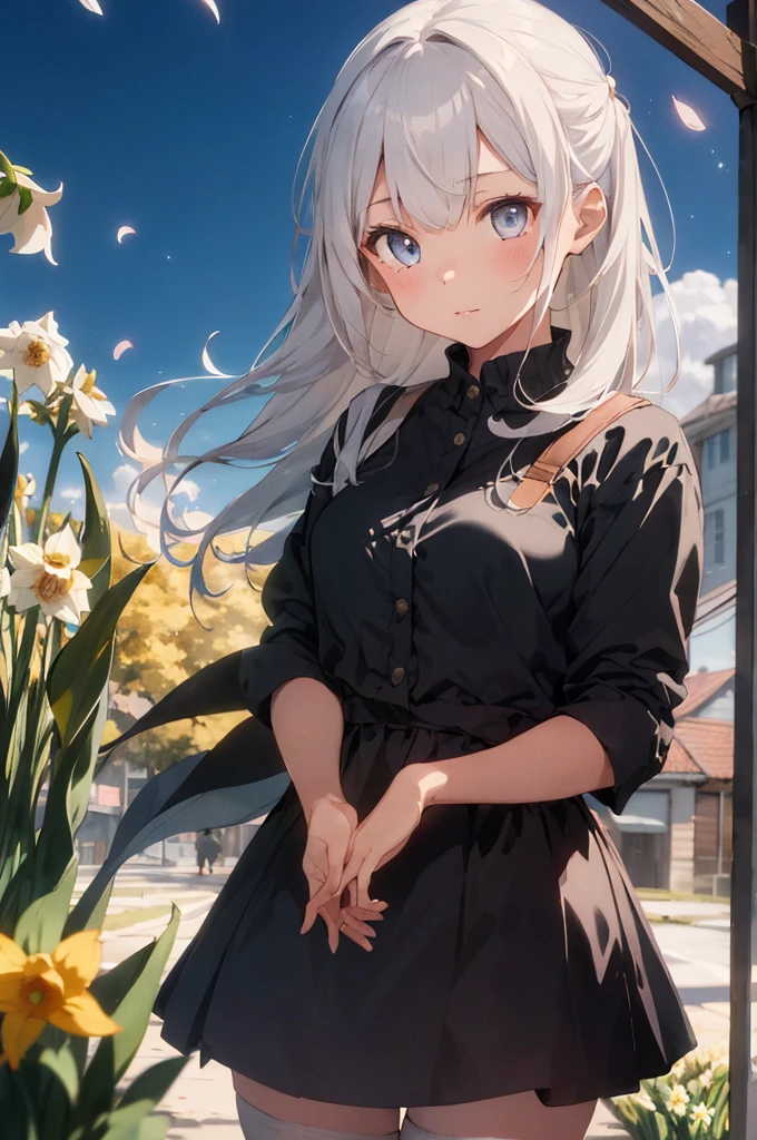 1girl, beautiful detailed eyes, long white hair, light grey eyes, , high white stocking, vivid, flower, daffodil, hyacinth, falling petals, , high contrast, ((masterpiece, best quality)), cinematic light, cinematic composition