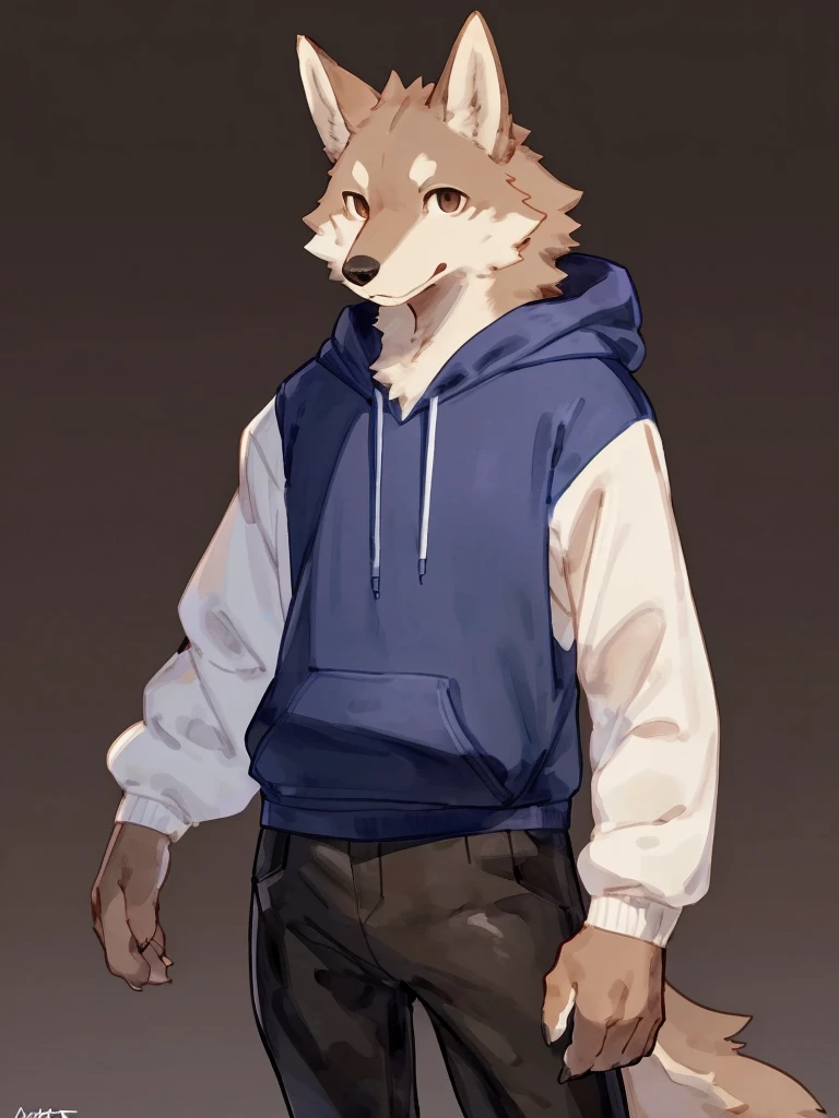 ((Best quality, masterpiece, detailed ???????, detailed eyes, detailed hands, perfect lighting, perfect shading.)), by Buta99, by Bebebebebe, 1male, Wolf, brown furs, tight body, dark brown eyes, skinny chub body, young body, blue sleeveless hoodie, black pants, brown boots, at the white background