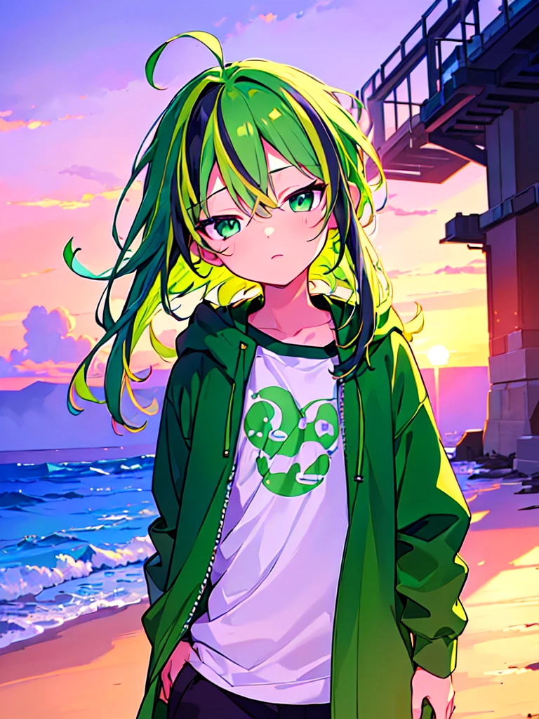 [(SUMMER BACKGROUND:1.5),::5], ((((masterpiece)))), high quality, ultra very high resolution, full color, (((solo))), (()), Purple hair, ((Green streaked hair)), (Green eyes), anime, ((upper body)), neon light, black parka, SEA, SUNSET