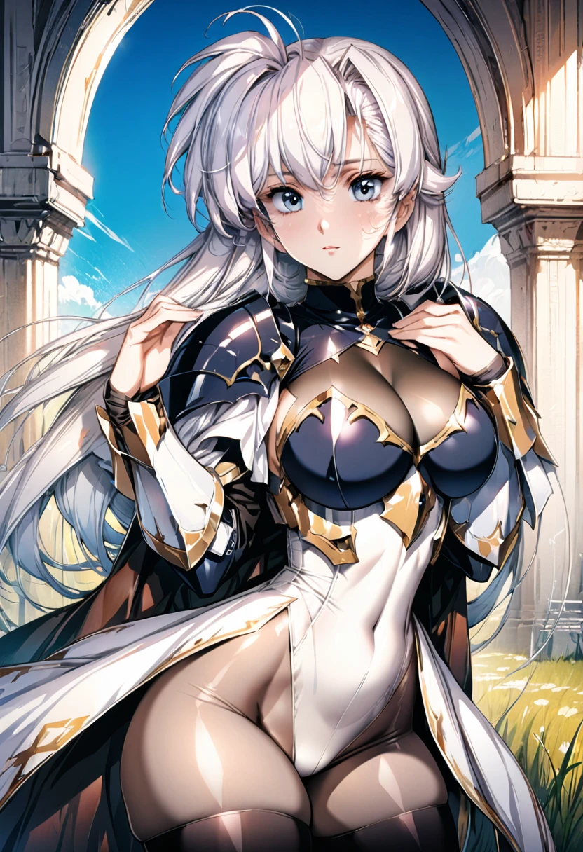 ((highest quality)), ((masterpiece)), ((hyperrealistic)), (detailed background), 1girl, ((curvy: 1.2)), (shoot from side), paladin, (( lame leotard)), ((catsuit leotard)), (paladin armor), (breastplate armored dress), cloak de cour, gauntlet, gloves, white hair, ahoge, (large breasts), (see-through cleavage cutout), (zettai ryouiki black thigh high socks), (see-through pantyhose thighs), (pantyhose groin area), beautiful eyes, perfect face, Perfect hands, perfect fingers, Blue sky and grassland,