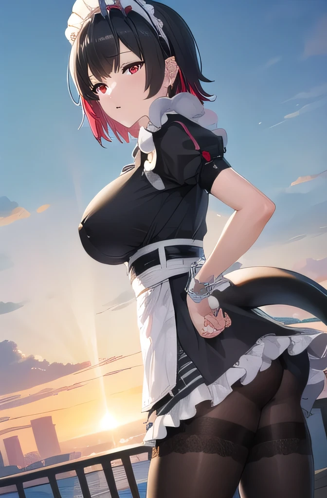 ellenjoe, ellen joe, black hair, colored inner hair, multicolored hair, (red eyes:1.3), red hair, short hair, two-tone hair, big breast,
BREAK bapron, black pantyhose, black shirt, black skirt, ear piercing, fins, fish tail, maid, maid apron, maid headdress, pantyhose, piercing, puffy short sleeves, puffy sleeves, shark girl, shark tail, shirt, short sleeves, skirt, tail, two-tone hair, wrist cuffs,
BREAK outdoors, city, sky, clouds, sun, park
BREAK looking at viewer, (cowboy shot:1.5),
BREAK (masterpiece:1.2), best quality, high resolution, unity 8k wallpaper, (illustration:0.8), (beautiful detailed eyes:1.6), extremely detailed face, perfect lighting, extremely detailed CG, (perfect hands, perfect anatomy),