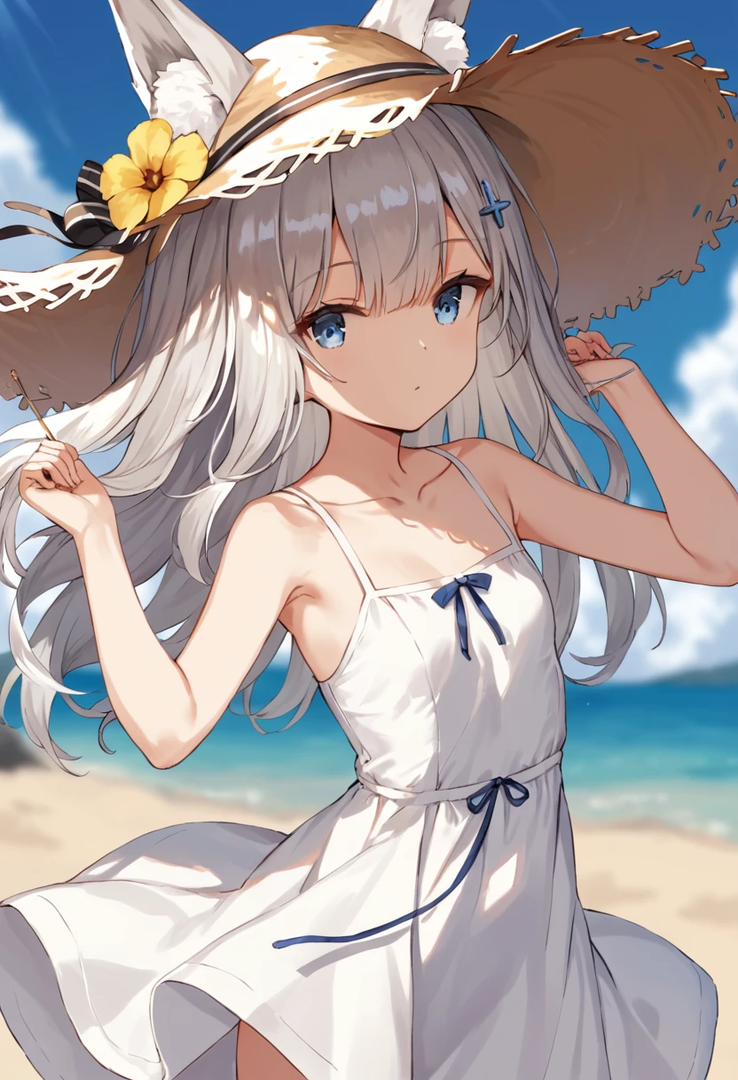 score_9,score_8_up,score_7_up,source_anime,cowboy shot,Idealized Forms,Natural Light,details background,blurry background,extremely detailed,kawakaze(azurlane),fox_girl,animal_ears,fox_ears,long_hair,bangs,blue_eyes,grey_hair,silver_hair,ahoge,hair_between_eyes,Sharp Eyes,small brests,sidelocks,small breasts, flat chest,collarbone,summer dress,blue sky,shining,sun floer,Straw hat