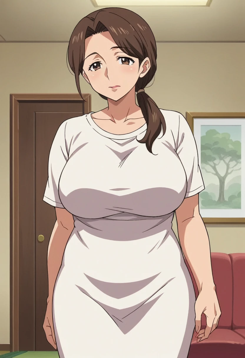 score_7_up, source_anime, anime screencap, 1mature_female, brown hair, brown eyes, low ponytail, large breast, living room, standing, cowboy shot