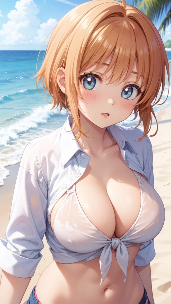 masterpiece, best quality, highres, 1girl, detailed face, blush, anime CG style, large breasts, (18 year old girl:1.3), (aged up), good lighting, perfect body, sakura kinomoto, glossy lips, beach, tied shirt, cleavage, midriff, (bikini:0.8)