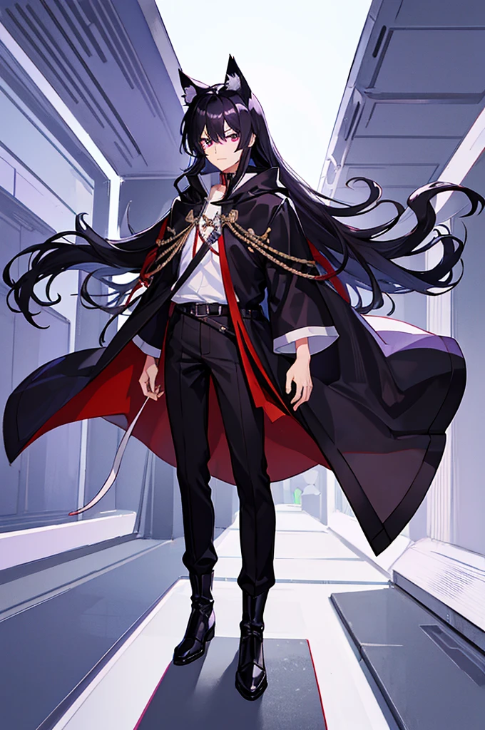 Black Hair少年,Around fifteen years old,Black Hair,Cat ear,Cat tail,Purple cloak,Heterochromia,Red left eye,Blue right eye,White shirt,Purple cloak,Standing,whole body,For the audience,White background,masterpiece,HD,4K,Detailed facial depiction,Black trousers,Black boots,Black Hair,White background(1:5)