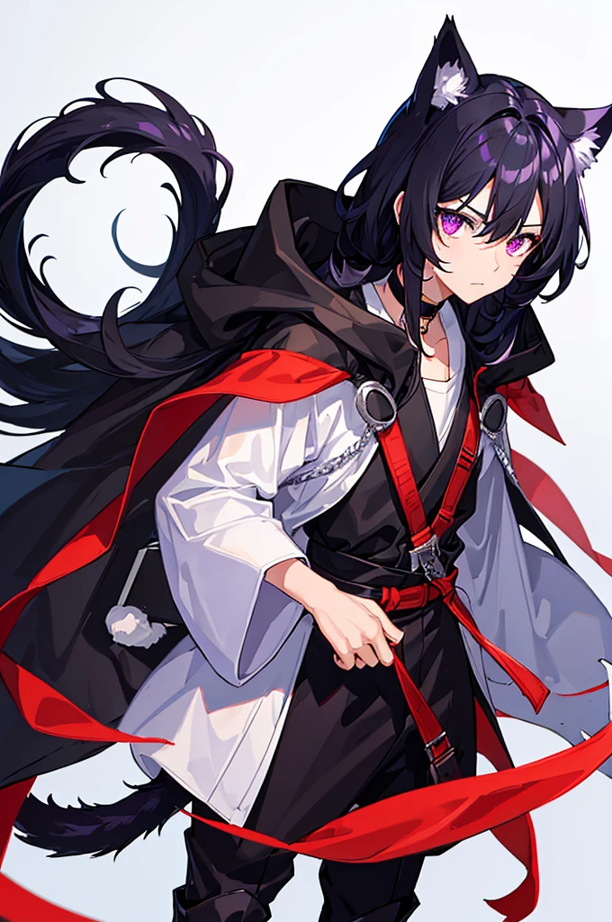 Black Hair少年,Around fifteen years old,Black Hair,Cat ear,Cat tail,Purple cloak,Heterochromia,Red left eye,Blue right eye,White shirt,Purple cloak,Standing,whole body,For the audience,White background,masterpiece,HD,4K,Detailed facial depiction,Black trousers,Black boots,Black Hair,White background(1:5)