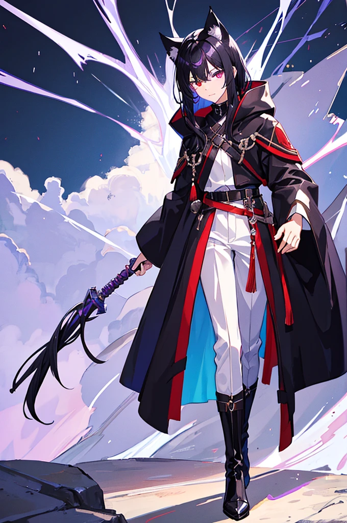 Black Hair少年,Around fifteen years old,Black Hair,Cat ear,Cat tail,Purple cloak,Heterochromia,Red left eye,Blue right eye,White shirt,Purple cloak,Standing,whole body,For the audience,White background,masterpiece,HD,4K,Detailed facial depiction,Black trousers,Black boots,Black Hair,White background(1:5)