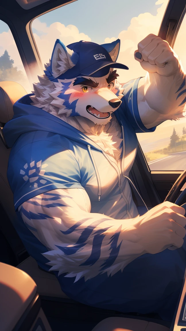 (Vision:1.5), solitary, anthropology, hairy, hairy male, Wolf, ((Fluffy fur, Fluffy, hairy body)), (wolf print), (Thick eyebrows), youth, muscular, White big pectoral muscles, Light blue fur, Golden pupils, Detailed teeth, defaced face, fundos, trucker, Light yellow plaid hoodie, Baseball cap, cab里, Driving, sideways, Shy expression, A faint smile,blush, (Dynamic poses:1.5), Clear facial features, Strong, majestic, alone, panoramic, Fog atmosphere, early morning, Tyndall Light Effect, cab, Sunlight through the car window, (By Empty Ghost, From wolf20, masterpiece, high quality, high resolution,8K)