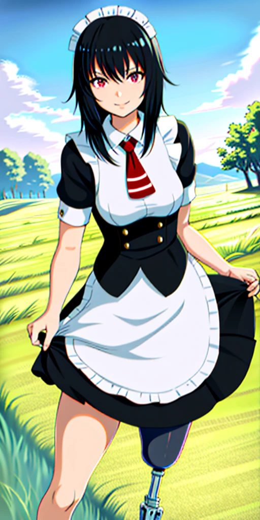 best quality, 1girl, solo, standing, outdoors, medium hair, black hair, straight hair, looking at viewer, medium breasts, (prosthetic leg:1.2), Ryuko, full body, smiling, (skirt:1.2), maid custom, maid uniform, black skirt, maid looking.