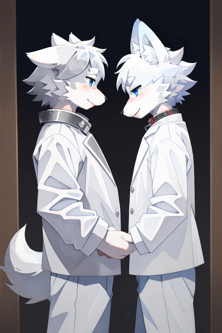 Gray Wolf, (All white fur:1.5), Solitary, Perfect sky blue eyes, collar, Wearing a white suit, (artist:Takemoto Arashi), Look at the audience, Mature face, Elders, Simple background, Naughty face, Flash, Long eyelashes, Naughty face, Reach out, from the side, Tonality, Standing picture, best quality, Ultra HD, Super Detail, High Detail