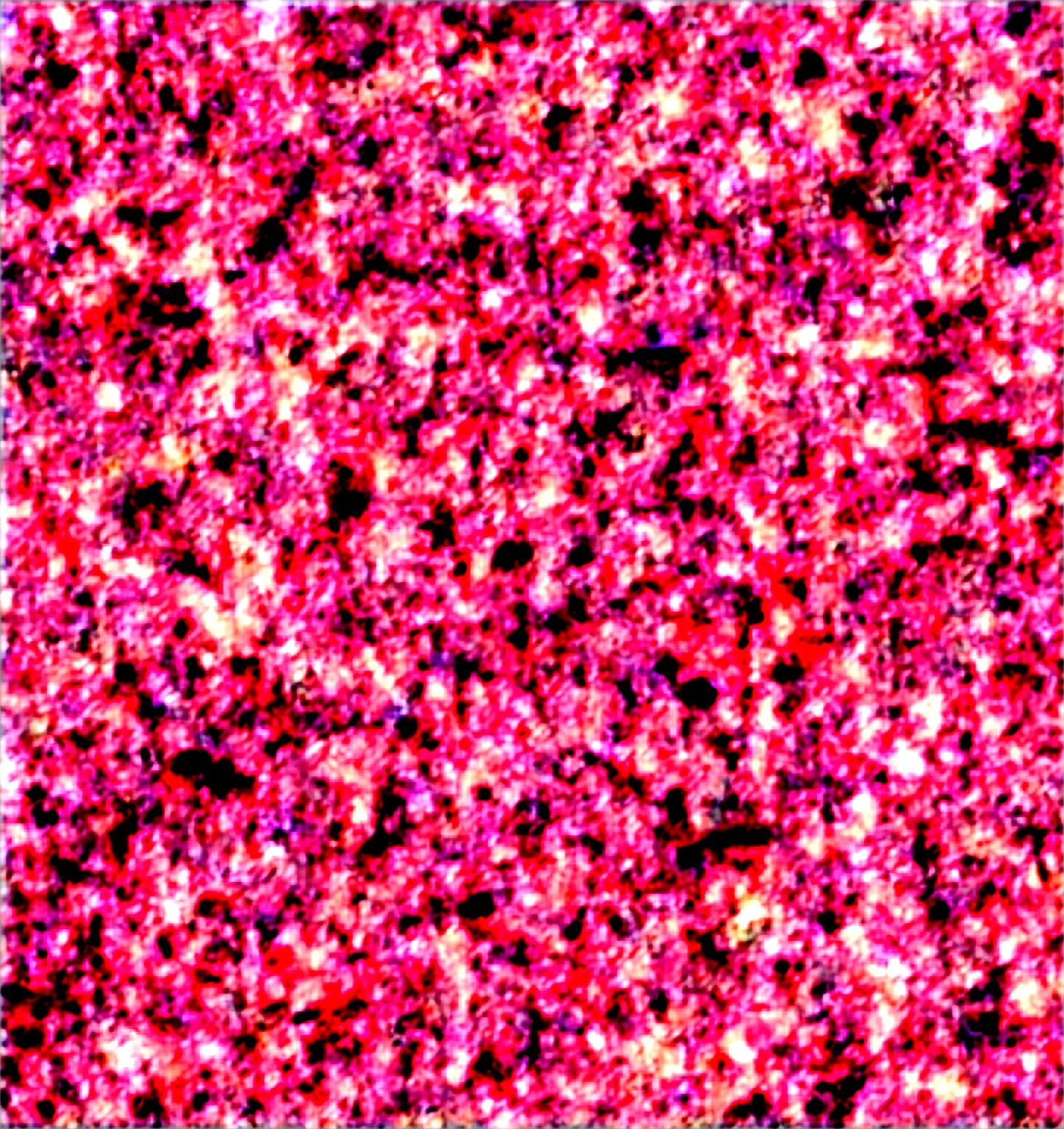 lycoris recoil, 2girls,
(Inoue takina:1.2), (Inouetakina and nishikigichisato are having sex, doggystyle:1.1), black_hair,long_hair,black_jacket,
(chisato, wince,orgasm:1.5,awaiting tongue, dick girl ), (Futanari:1.5), nishikigi_chisato,blonde_hair,short_hair,
best quality,masterpiece