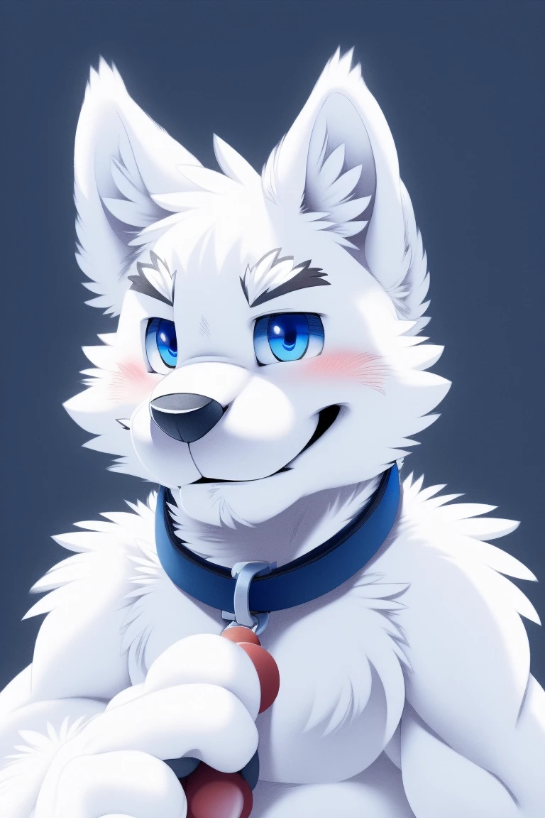 Gray Wolf, (All white fur:1.5), Solitary, Perfect sky blue eyes, collar,  (artist:Takemoto Arashi), Look at the audience, Cute face, Simple background, Naughty face, Flash, Long eyelashes, Naughty face, Reach out, from the side, Tonality, Standing picture, best quality, Ultra HD, Super Detail, High Detail