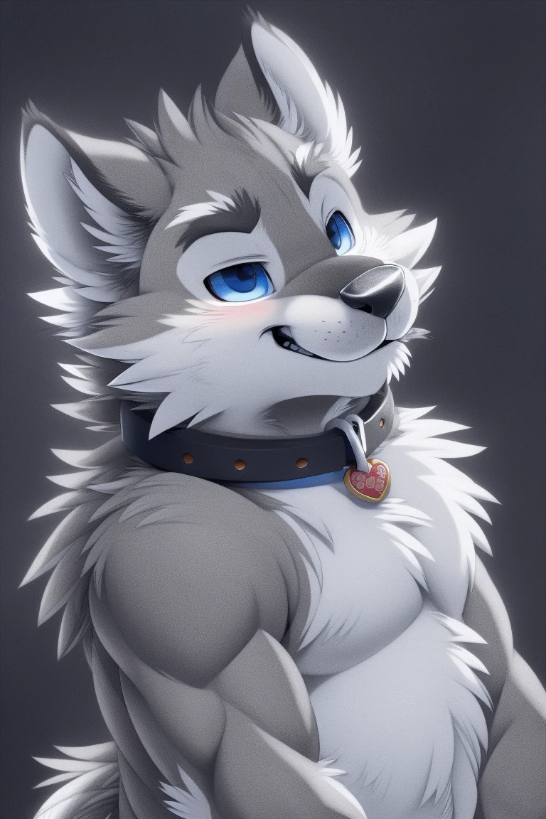 Gray Wolf, (Full grey fur:1.5), Solitary, Perfect sky blue eyes, collar, (artist:Takemoto Arashi), Look at the audience, Cute face, Simple background, Naughty face, Flash, Long eyelashes, Naughty face, Reach out, from the side, Tonality, Standing picture, best quality, Ultra HD, Super Detail, High Detail