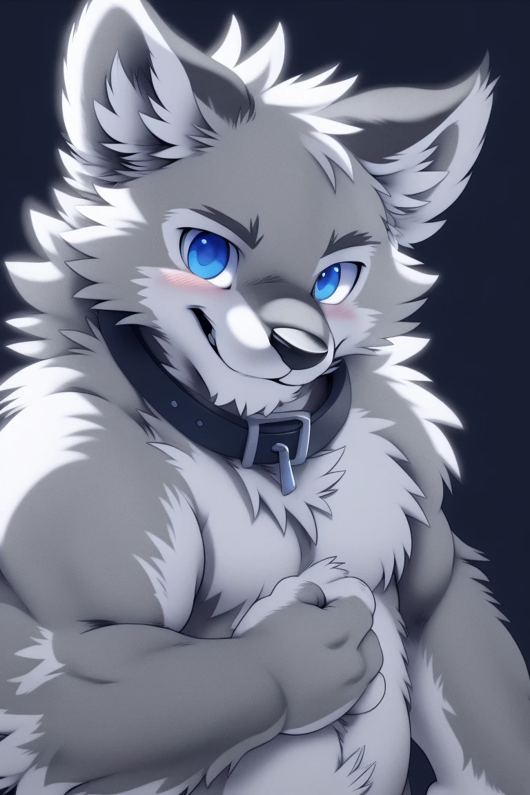 Gray Wolf, (Full grey fur:1.5), Solitary, Perfect sky blue eyes, collar, (artist:Takemoto Arashi), Look at the audience, Cute face, Simple background, Naughty face, Flash, Long eyelashes, Naughty face, Reach out, from the side, Tonality, Standing picture, best quality, Ultra HD, Super Detail, High Detail