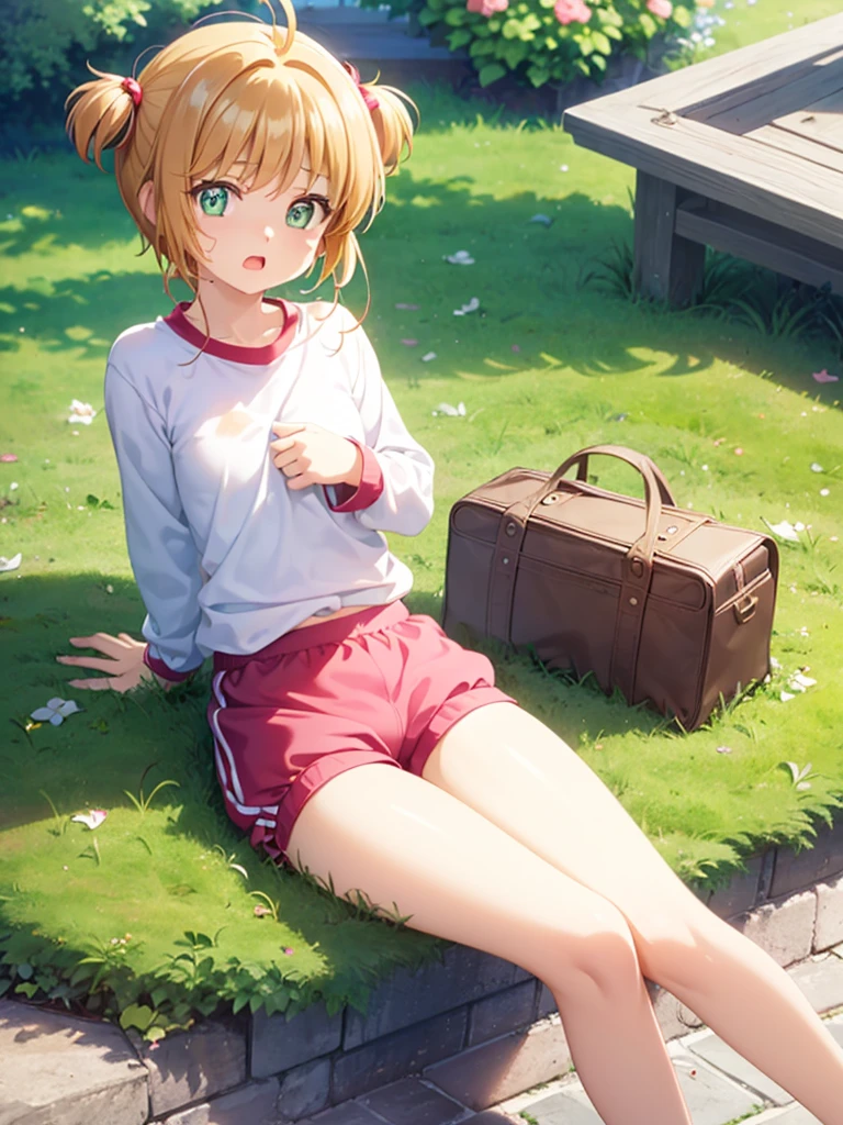(masterpiece:1.2), best quality, high resolution, unity 8k wallpaper, (illustration:0.8), (beautiful detailed eyes:1.6), extremely detailed face, perfect lighting, extremely detailed CG, (kinomoto sakura, green eyes, short hair, two side up, , short stature, small breast, solo,), sitting, spread legs, no bra, show off nipple, little nipple, gym clothes, very torn clothes, open-breast clothes, bloomer, pink striped patterns panties, vagina, gleaming skin, moist skin, embarrassed, open mouth, noon, in the park, front view, looking at viewer, troubled face, takes off her bloomers,