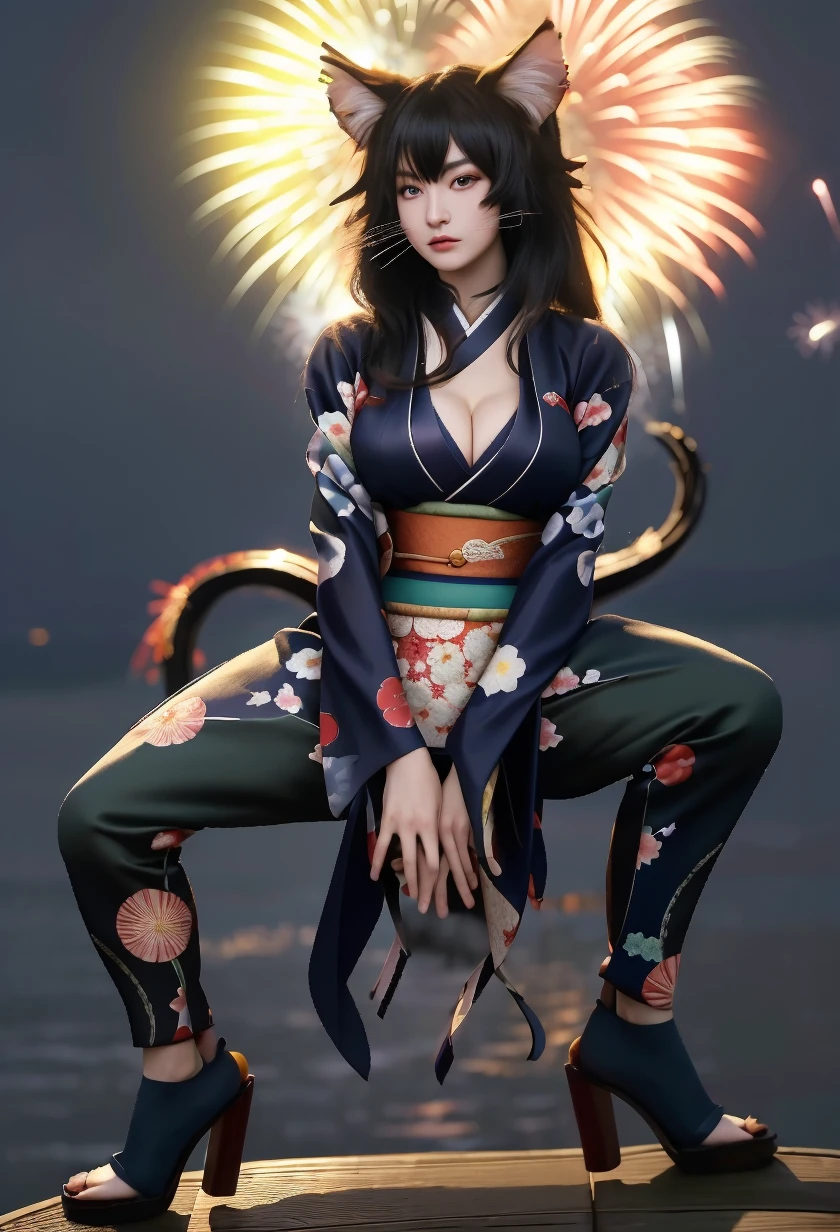 花火の夜の猫たち / Cat under fireworks