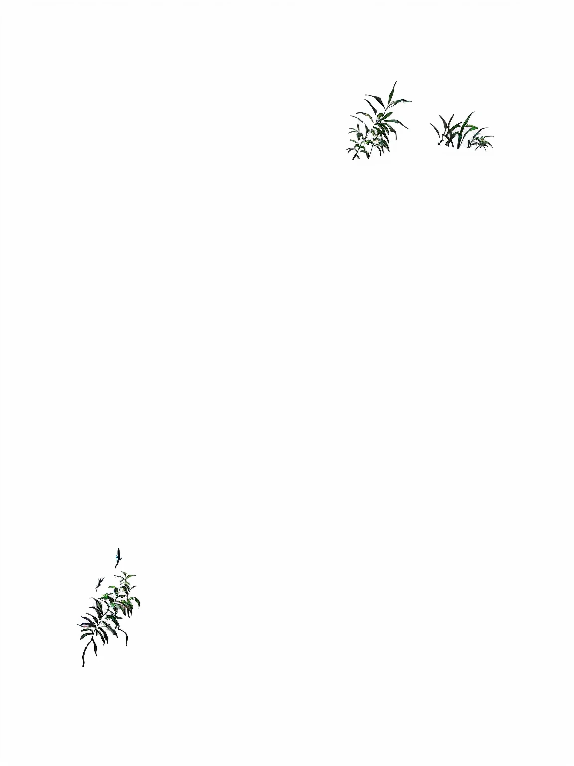 There are two birds flying in the sky above the tree, No background and shadow, spidery irregular shapes, Draw with Microsoft Paint, 2D Top View, Solid color background, Palm tree, some plants, some plants, Line Art, svg comic style, With text, speedtree, No text, butterflies and birds, Hand Painted, white outline border, 