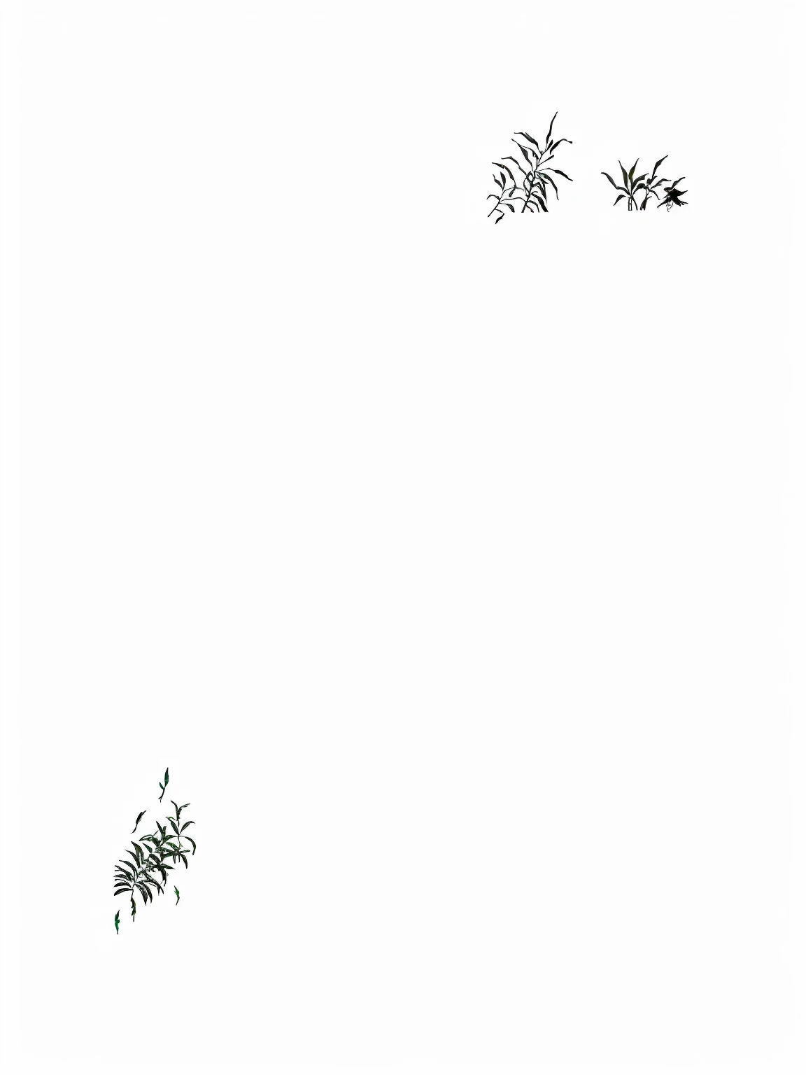 There are two birds flying in the sky above the tree, No background and shadow, spidery irregular shapes, Draw with Microsoft Paint, 2D Top View, Solid color background, Palm tree, some plants, some plants, Line Art, svg comic style, With text, speedtree, No text, butterflies and birds, Hand Painted, white outline border,