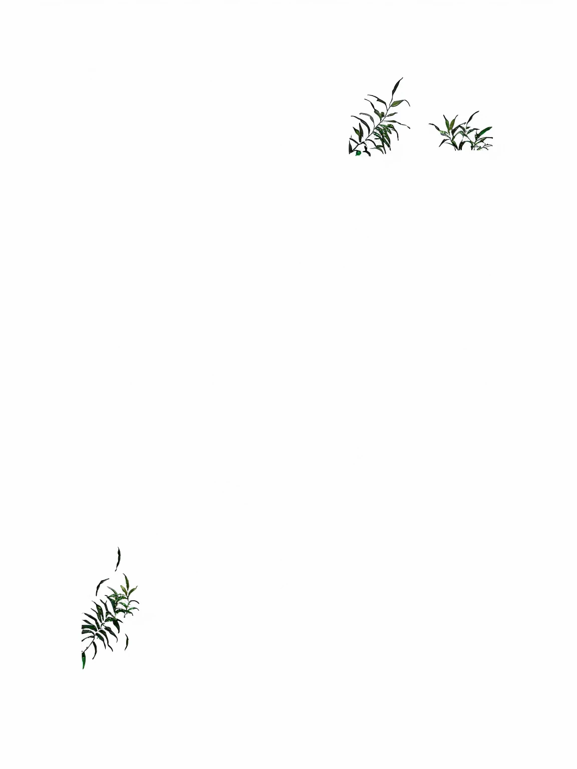 There are two birds flying in the sky above the tree, No background and shadow, spidery irregular shapes, Draw with Microsoft Paint, 2D Top View, Solid color background, Palm tree, some plants, some plants, Line Art, svg comic style, With text, speedtree, No text, butterflies and birds, Hand Painted, white outline border, 