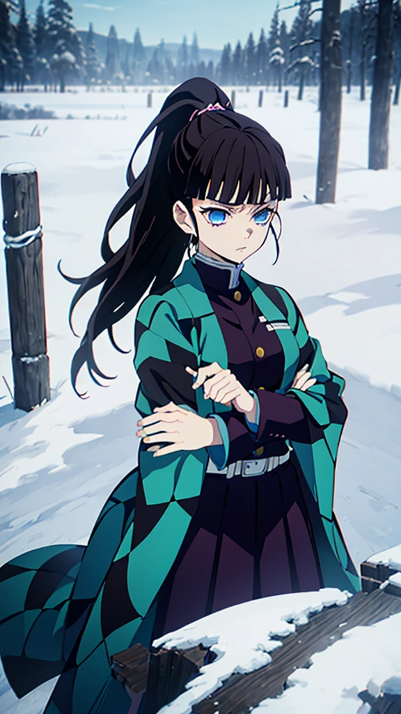 Kimetsu no Yaiba style, 1 mature, girl, blue eyes, a hashira, pretty, long dark brown hair in ponytail, curtain bangs, annoyed expression, noble, Pillar Demon Slayer, holding a sword, wearing demon slayer uniform, holding a blue demon slayer sword, dark and snowy background