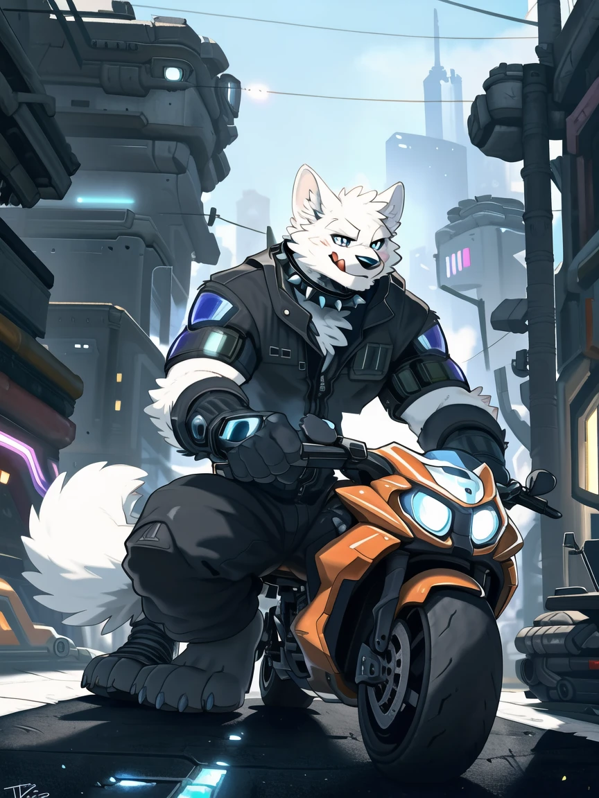 ((All white fur:1.5)), Solitary, Perfect sky blue eyes, Spiked Collar, (artist:Takemoto Arashi), Mature face, Elders, Long eyelashes, Wear practical and functional work clothes|Black pants, ((Thin and tall)), Crouching next to the motorcycle, Wall background, barefoot, Reach out, Smile, (Cyberpunk:1.5), Verbal invitation, local ruffian, rogue, Maliciously, Licking lips, There is a high-tech motorcycle next to the character., First-person perspective, from the side, Atmospheric perspective, Super Detail, High Detail, 8K