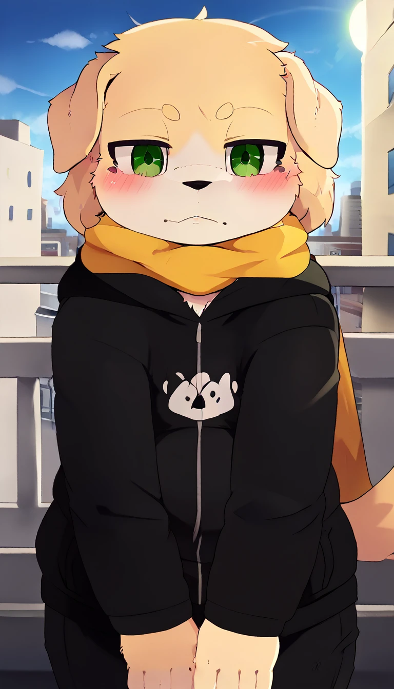 cu sith \(tas\), bird dog, canid, canine, canis, domestic dog, golden retriever, hunting dog, mammal, retriever, anthro, city, clothing, floppy ears, fur, green eyes, hoodie, male, scarf, slightly chubby, solo, topwear, wristband, yellow body, yellow fur, arms over balcony, pondering, looking at sky, leaning towards balcony, clear sky, sun ray, on top of a building, arms on railing, arms holding head, bending arms,  facing away from viewer, angled view, face pov, face focus, close-up, headshot portrait by chunie, by null-ghost, by darkgem, 
