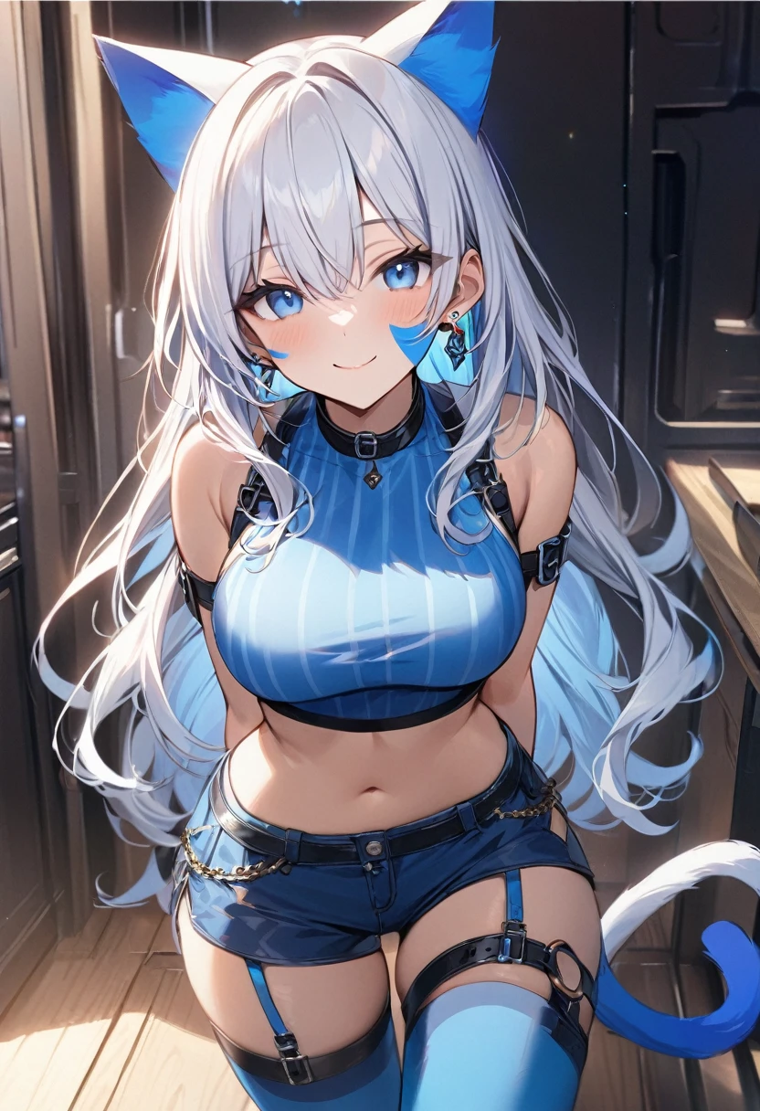 masterpiece, best quality, 1girl, solo, adult, white hair has a blue streak, long hair, earrings, blue eyes, detailed face, crop top, large breasts, shorts, stocking, arm belt, infront of viewer, empty look, smile, has two blue cat stripes on both cheeks, has a tail and cat ears,