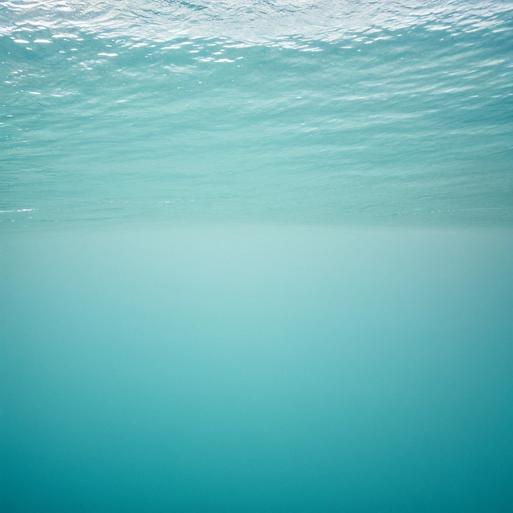 perfectly clear ocean meets perfectly clean white minimalist