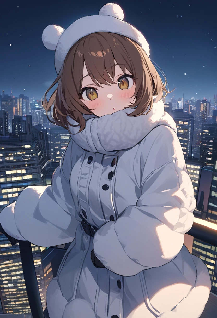 Woman.Brown hair and hazel eyes.She wears winter clothes.On top of a tall building.Time 🌃