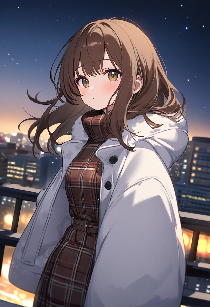 Woman.Brown hair and hazel eyes.She wears winter clothes.On top of a tall building.Time 🌃