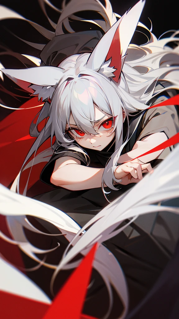Highest quality I have long hair Gray Hair Raw salt Noah Red eyes I don't have anything Odd Eye kind Cat ear