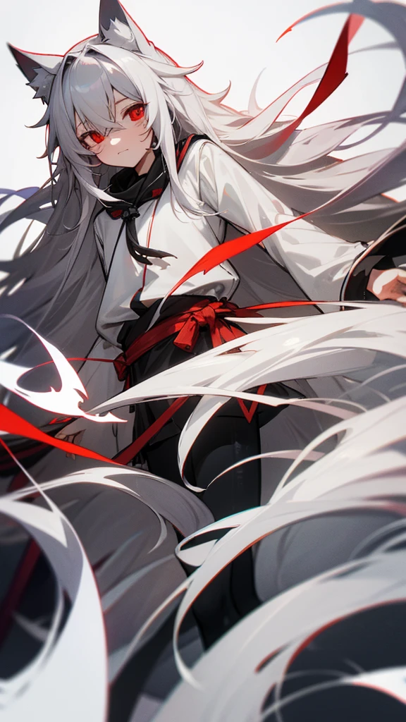 Highest quality　I have long hair　Gray Hair　Raw salt Noah　Red eyes　I don't have anything　Odd Eye　kind　Cat ear　　