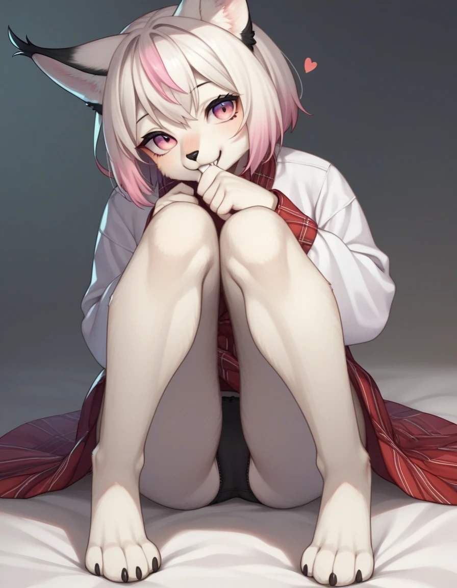 , score_9,score_8_up,score_7_up, source_cartoon, kemono style, an Anthro furry albino lynx girl, white furry body, black lynx spots, black ear tips, short white hair with pink tips on hair, pink highlights in hair, pink eyes, wearing black , , on her knees, full body shot, feet paws, 4 toes, biting her shirt