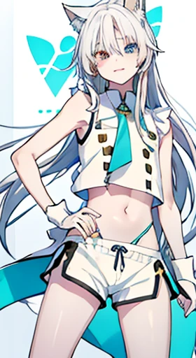 YOUNG BOY, long white hair, Cat's ears, heterochromia, The left eye is yellow、The right eye is blue, fair turquoise top, SLEEVELESS, shorts, open tummy, White pattern on clothes, ssmile, dagger, work of art, high qualiy