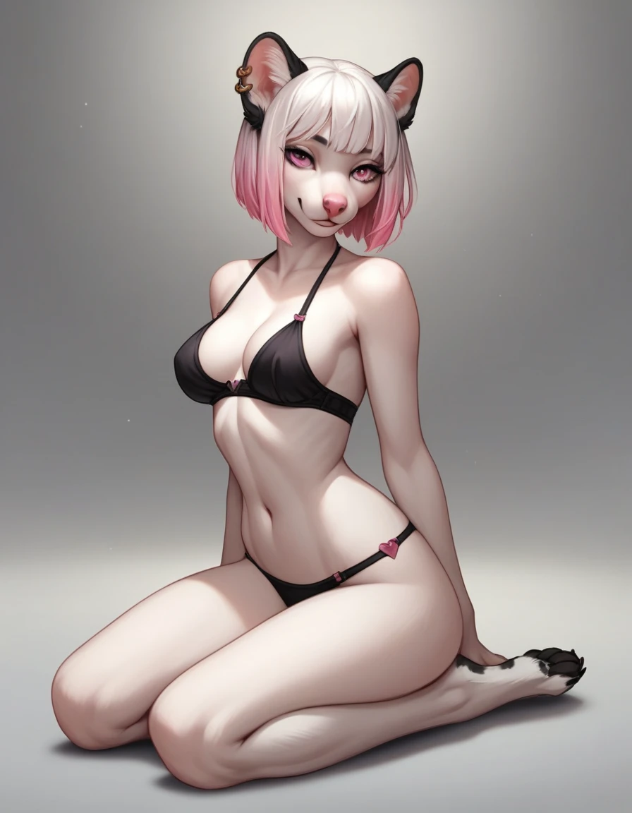 , score_9,score_8_up,score_7_up, source_cartoon, an Anthro furry albino lynx girl, all white furry body, black spots on fur, black ear tips, short white hair with pink tips on hair, pink highlights in hair, pink eyes, pink nose, wearing black underwear, seductive, on her knees, kneeling, full body shot, feet paws, 4 toes,