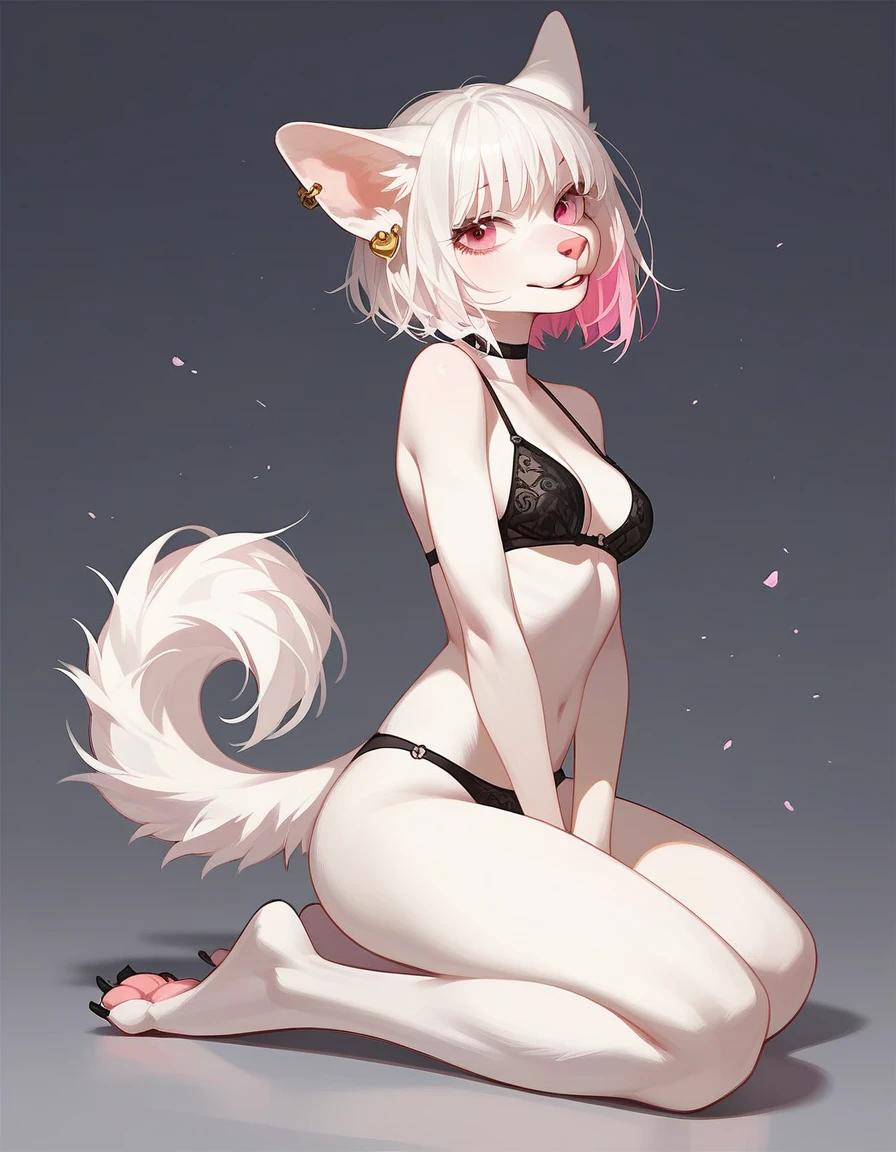 , score_9,score_8_up,score_7_up, source_cartoon, an Anthro furry albino lynx girl, white furry body, black ear tips, short white hair with pink tips on hair, pink highlights in hair, pink eyes, wearing black underwear, seductive, on her knees, kneeling, full body shot, feet paws, 4 toes, 