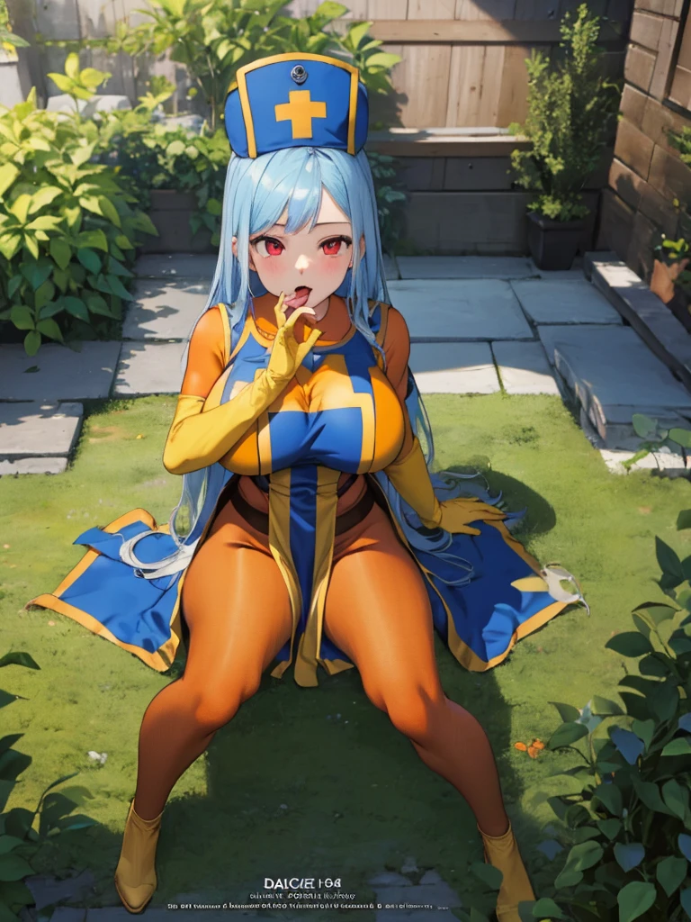 masterpiece,Highest quality, Unreal Engine, Super Resolution, Very detailed,
1 Girl, Waist, thin, (Muscular:0.8)
Round Breasts, Big Breasts, Bold, Part your lips, Observe the audience,
, sexy pose
,Sitting in the garden of a medieval castle
, Key Visual,
Light blue hair, Red eyes, Long-haired monk \(dq3\)
,Light Blue Panties,Tabard Elbow Gloves,(Orange full body pantyhose:1.3),((Spread your legs:1.3))