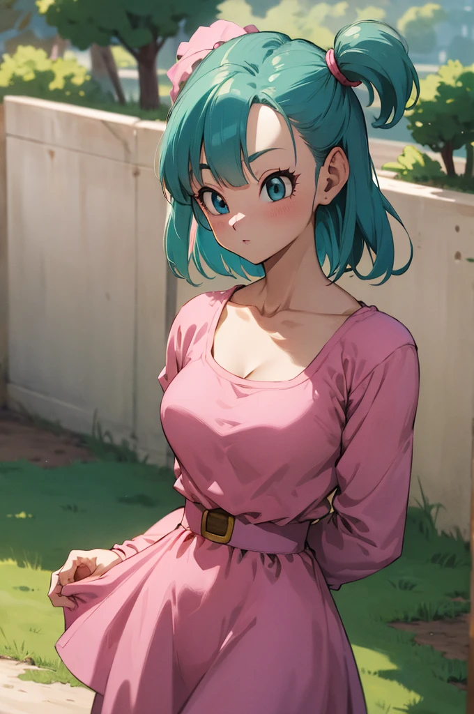 masterpiece, best quality, highres, dragon ball, blmsdup, bulma, aqua hair, one side up, pink dress, long sleeves, collarbone, medium breasts, outdoors, standing, cowboy shot,