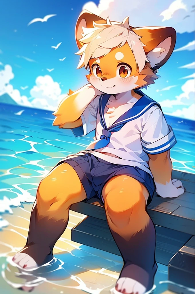 Male Red Panda, Ocean, Appeared wearing a sailor uniform! One in heat, Sitting,
