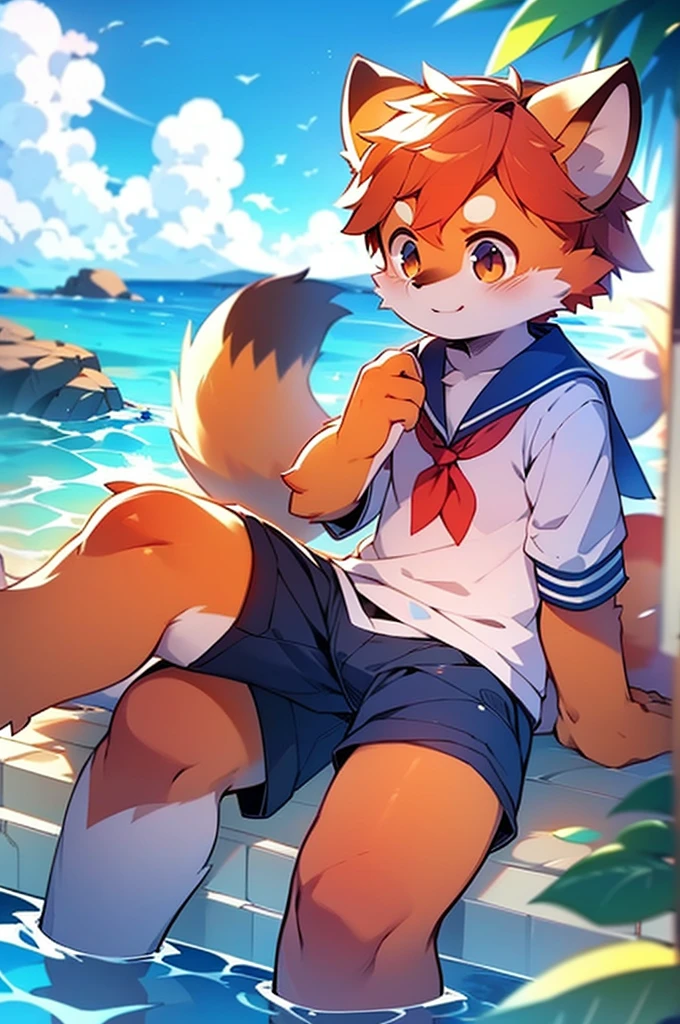 Male Red Panda, Ocean, Appeared wearing a sailor uniform! One in heat, Sitting,