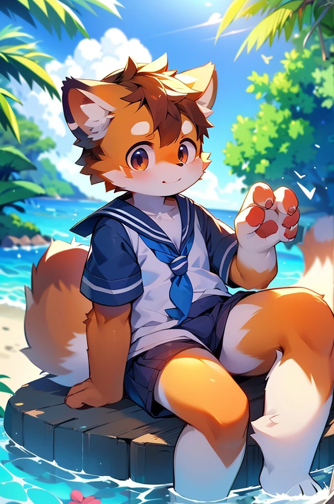 Male Red Panda, Ocean, Appeared wearing a sailor uniform! One in heat, Sitting,