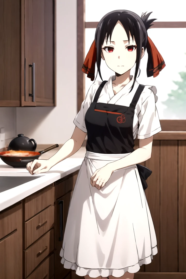 Shinomiya Kaguya, Shinomiyakaguya, Red eyes, small breasts, list brook, black fur, Red eyes, transparent apron, Transparent apron 
