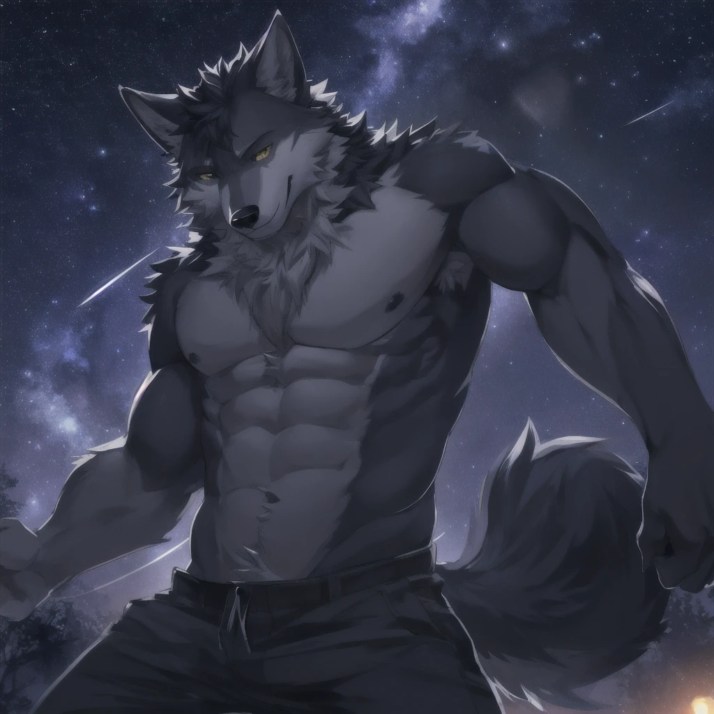 male wolf, solo, shirtless, pants, sexy smile, lustful, night background, stars, masterpiece, hires, high quality, insane lighting, good anatomy