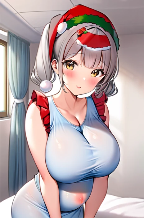 Santa costume,Big Breasts,Pregnant women,Pregnant belly,Multiple births,Gray Hair,Twin tails