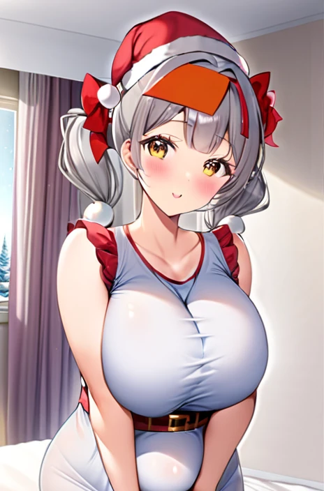 Santa costume,Big Breasts,Pregnant women,Pregnant belly,Multiple births,Gray Hair,Twin tails