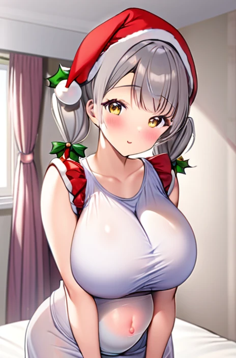 Santa costume,Big Breasts,Pregnant women,Pregnant belly,Multiple births,Gray Hair,Twin tails