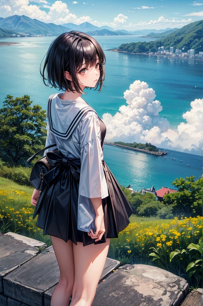 ((Highest quality)), ((masterpiece)), (detailed), One girl,Black Hair,short hair,Sailor suit,blue sky,cumulonimbus,Back view,Japanese countryside,A distant view、A slope with a view of the sea