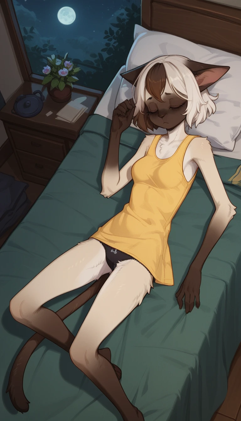 tired expression, 1girl, anthro, furry, fur, fluffy fur, siamese cat, cat girl, white hair (brown highlights), closed eyes, short hair, full body, (19 years), medium , thighs, solo, (bedroom), night, lunar light, detailed, yellow shirt (sleeveless shirt), black pantieessed, sad, (night), ((baggy eyes)), (laying on her bed), (sleeping), score_9, score_8_up, score_7_up, score_6_up, score_5_up, score_4_up