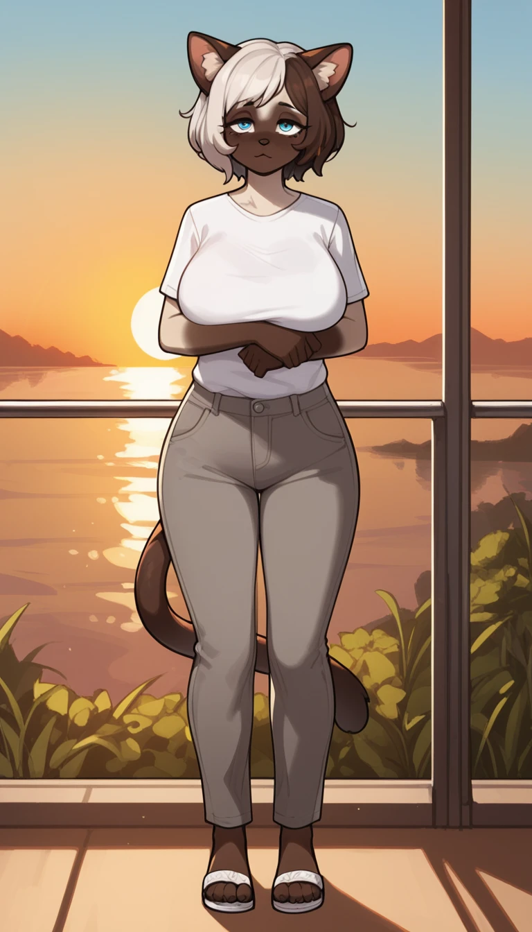 tired expression, 1girl, anthro, furry, fur, fluffy fur, siamese cat, cat girl, white hair (brown highlights), blue eyes, short hair, full body, (50 years), big breast, thicc thighs, solo, (bedroom), sunset, (sleeping), detailed, white shirt, gray pants, sandals, depressed, sad, sunset, ((baggy eyes)), awkward smile, (milf), (mature woman), standing, score_9, score_8_up, score_7_up, score_6_up, score_5_up, score_4_up