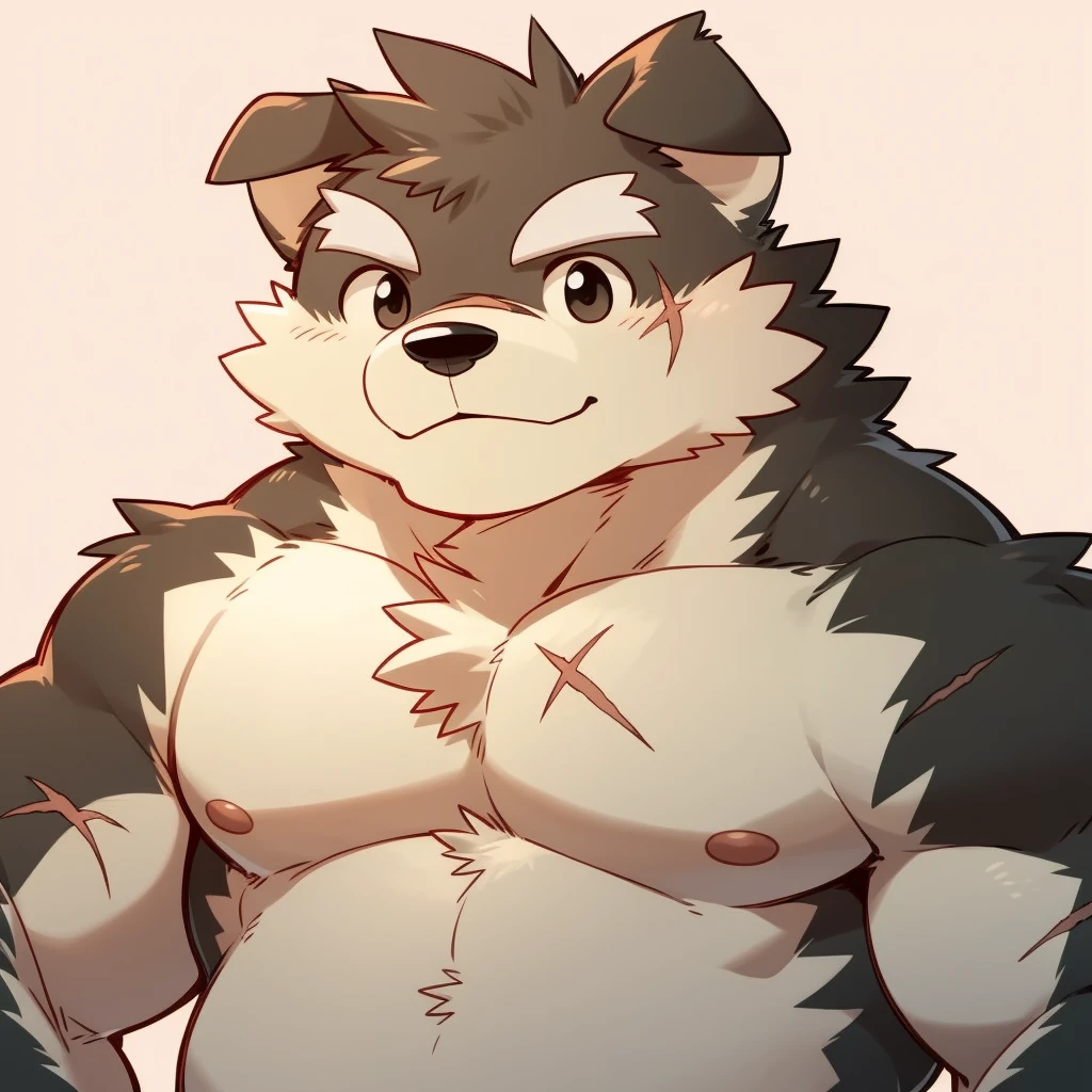 Scribble 黑色柴dog face,Cute face,Humanity(dog),(Topless:1.3),Chubby,(White eyebrows:1.1),(Perfect black eyes),（artist:Takemoto Arashi），Simple background，scar，light pink nipples。